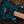 PRS SE Swamp Ash Special Iri Blue