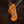 Fender Custom Shop Rory Gallagher Signature Stratocaster PRE-OWNED!