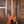PRS Wood Library Custom 24 Lefty Yellow Tiger