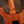 PRS Wood Library Custom 24 Lefty Yellow Tiger