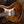 PRS Wood Library Custom 24 Lefty Yellow Tiger