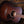 Taylor AD26e Baritone Special Edition PRE-OWNED