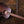 Taylor AD26e Baritone Special Edition PRE-OWNED