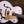 Gretsch Synchromatic Falcon Snowcrest White