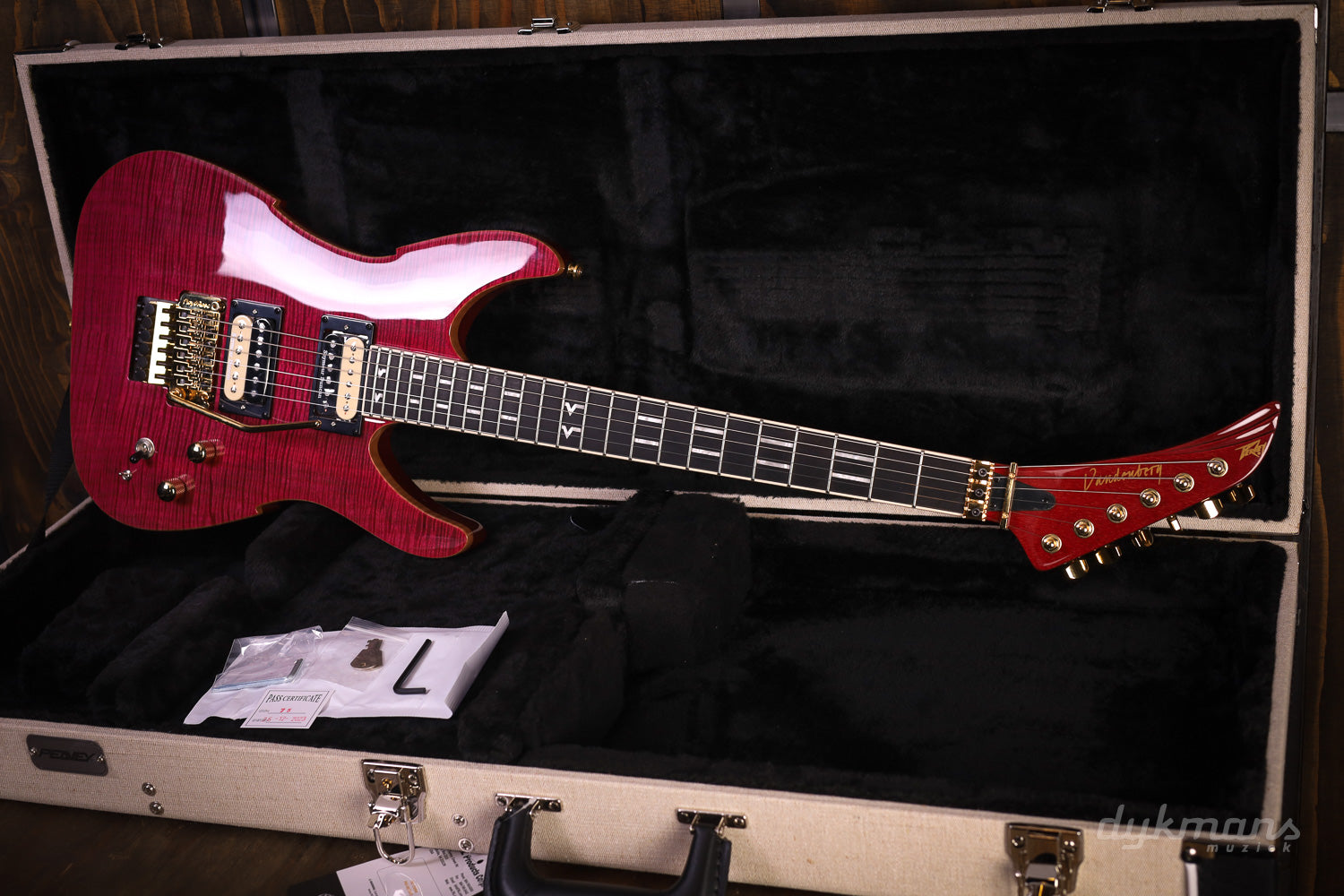 adrian vandenberg gear Peavey Adrian Vandenberg Signature Purple Flame – Dijkmans Guitars