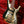 Ibanez JS2GD Gold Chrome Boy Joe Satriani