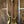 Ibanez JS2GD Gold Chrome Boy Joe Satriani