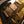 Ibanez JS2GD Gold Chrome Boy Joe Satriani