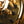 Ibanez JS2GD Gold Chrome Boy Joe Satriani