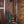 Del-Tone 60's S-Style Sherwood Green Over Sunburst