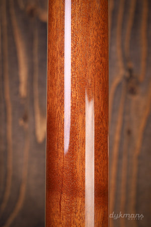 Ibanez PM200 Pat Metheny