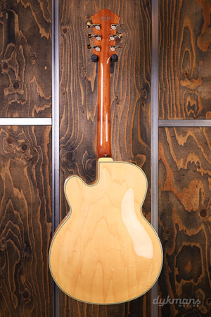 Ibanez PM200 Pat Metheny