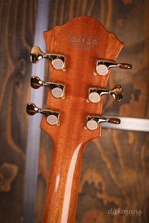 Ibanez PM200 Pat Metheny