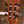Juan Salvador 6C Cutaway