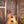 Gibson Les Paul Standard '60s Unburst