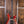 PRS SE Custom 24 