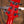 PRS SE Custom 24 
