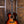Guild F55e PRE-OWNED!