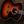 Guild F55e PRE-OWNED!