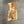 Mayones Regius V24 6 Master Grade Spalted Maple PRE-ORDER