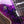 ESP Eclipse Custom Purple Peel