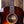 Taylor 50th anniversary 217e-SB Plus LTD