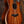 Taylor Custom GA Hawaiian Koa