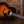 Taylor 50th anniversary 217e-SB Plus LTD