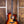 Taylor 214ce-K SB Plus