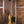 Gibson SG Standard TV Yellow