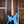 PRS Fiore Larkspur