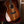 Taylor Custom GA Walnut #..022