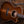 Taylor Custom GA Walnut #..022