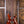 PRS Wood Library Modern Eagle V Orange Tiger