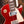 Gibson Les Paul Standard 50s Figured Top 60s Cherry 