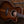 Taylor Custom GA Walnut #..018
