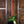 Ibanez AZ2402AGM