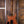 PRS Wood Library Modern Eagle V Yellow Tiger