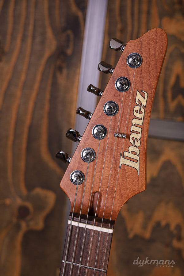 Ibanez AZ2204NVGF