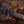 PRS Wood Library Modern Eagle V Burnt Maple Leaf