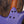 Strandberg Boden Essential 6 Future Dusk