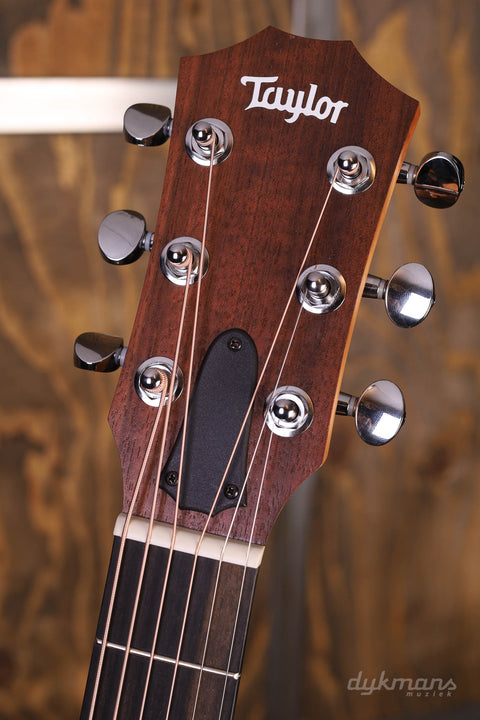 Taylor GS MINI Sapele