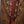 Fender PR-180E Resonator  Paramount
