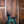 Music Man Luke 4 HH Maple Top Blue Dream