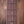 Music Man Luke 4 HH Maple Top Blue Dream
