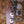 Godin RG-4 Bass Ultra Carbon White