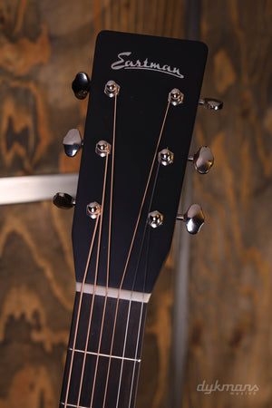Eastman E10D-TC