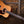 Eastman E10D-TC