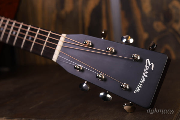 Eastman E10D-TC