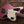 Fender Custom Shop '64 Jaguar Journeyman Faded Aged Burgundy Mist Metallic